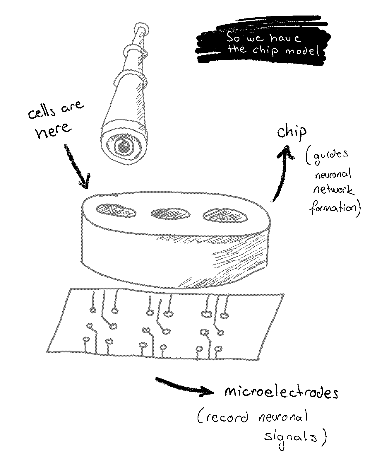 PoCM cartoon - page 3_1